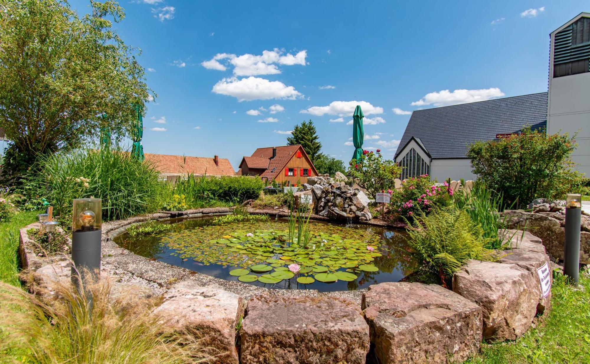 Wellnesshotel Hohenrodt Loßburg エクステリア 写真